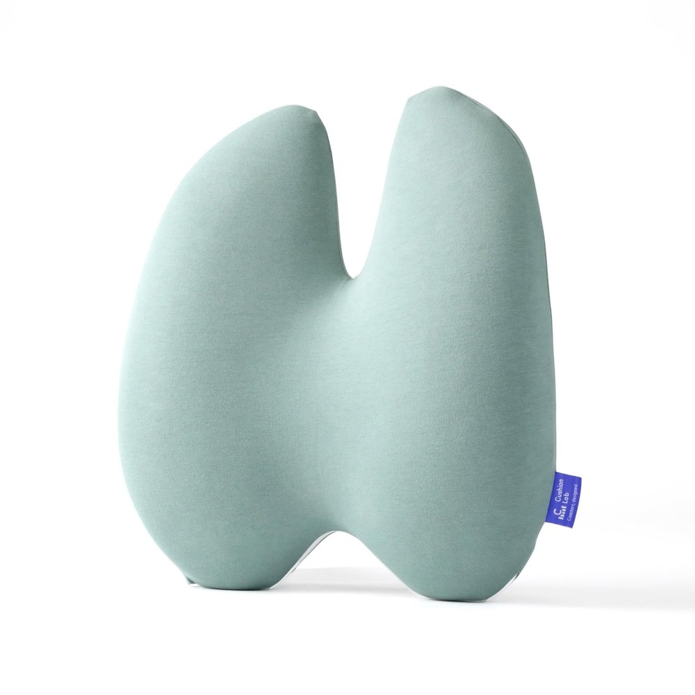 C CUSHION LAB Ergonomic Lumbar Support Pillow Memory Foam Back Pain Relief
